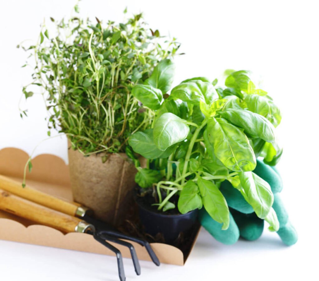 Home Gardening Pt5q72u.jpg