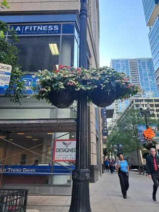 Greenstreets Hanging Baskets 2