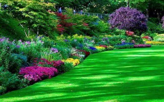 Turf And Garden