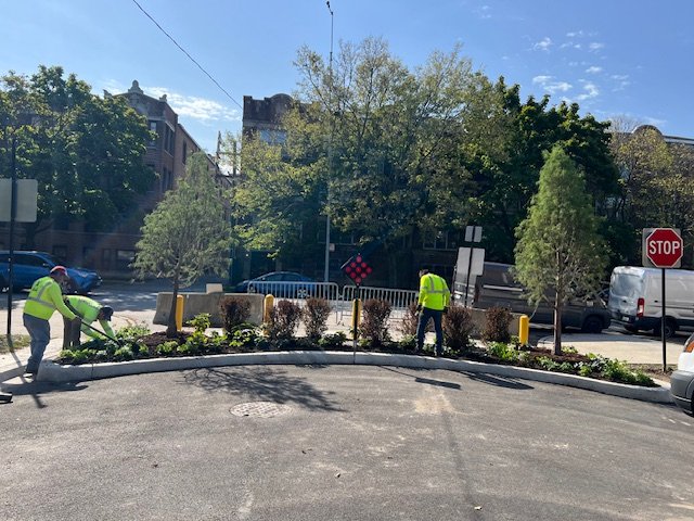 Cdot Nci 2024 Tree And Plant Installs